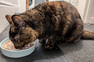 Charlotte J.'s review